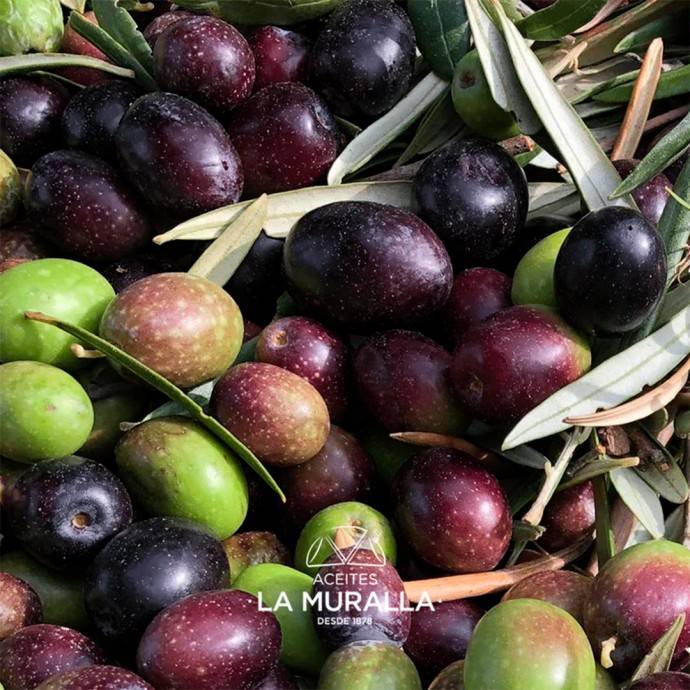 aceitunas