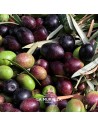 aceitunas